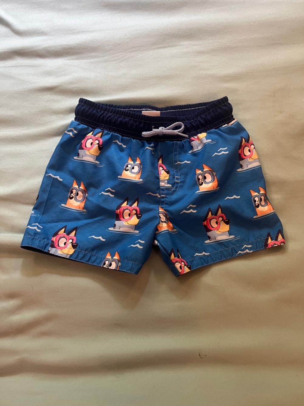 Bluey and Bingo Boys Swim Trunks